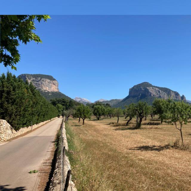Sa Sort De Can Moix Alaró Exterior foto